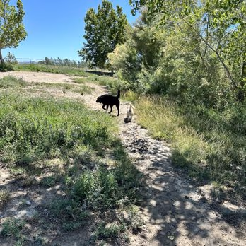 Canyon View Dog Park photo 1